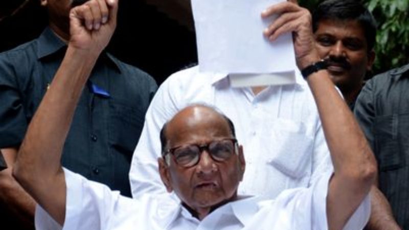 Return of the native- Sharad Pawar won hearts with his valiant campaign focusing on regional issues